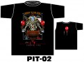 PIT-02